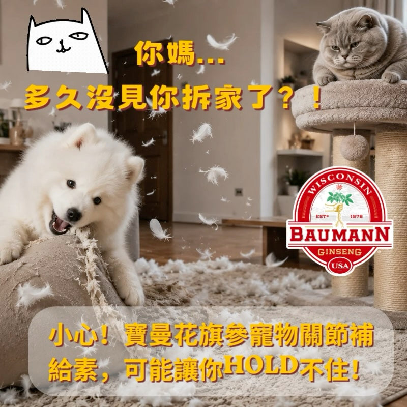 寶曼寵物花旗參怎麼吃